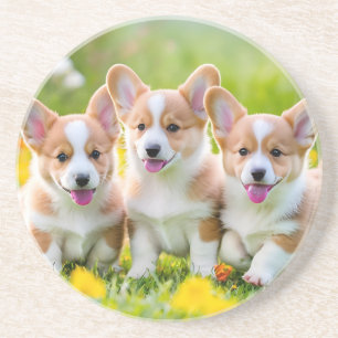 Posavasos Corgies jugando en la hierba