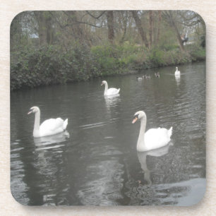 Posavasos Cork Coasters Swans River Natación