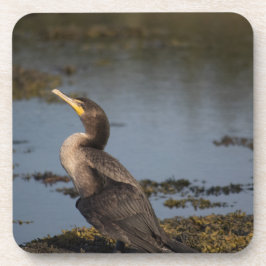 Posavasos Cormoralina de dos pechos