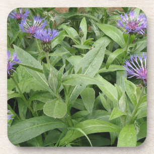 Posavasos Cornflowers Cork Coaster