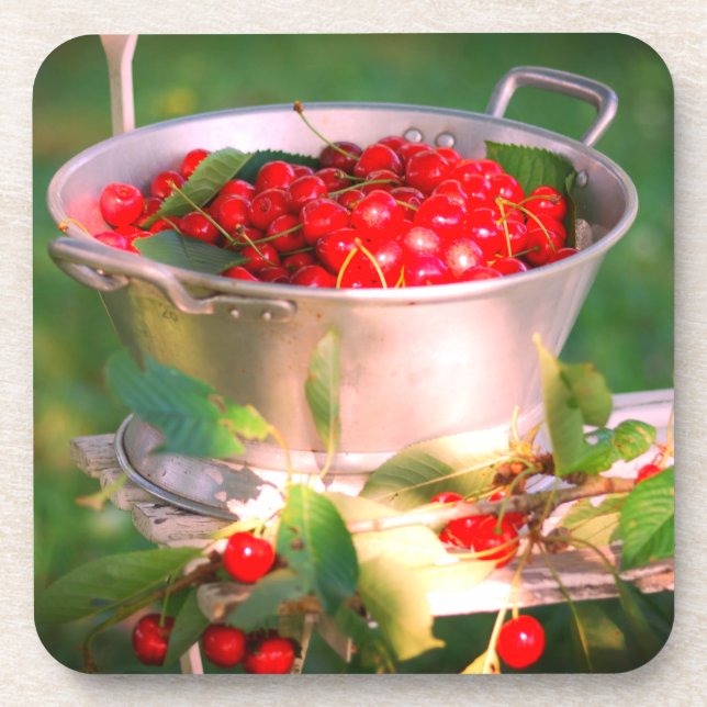 Posavasos Cosecha de cerezo, huerto de algodón Rosalinde (Frente)