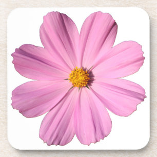 Posavasos Cosmos rosados