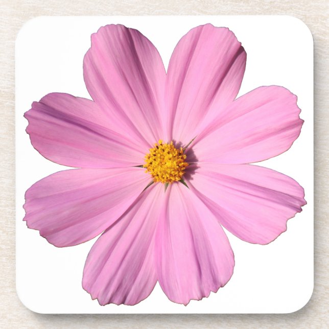 Posavasos Cosmos rosados (Frente)