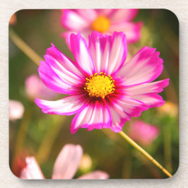 Posavasos Cosmos rosas, huerto de cabaña Rosalinde