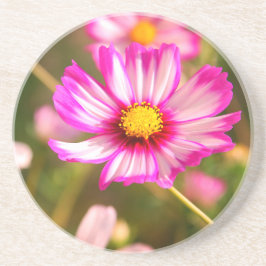 Posavasos Cosmos rosas, huerto de cabaña Rosalinde