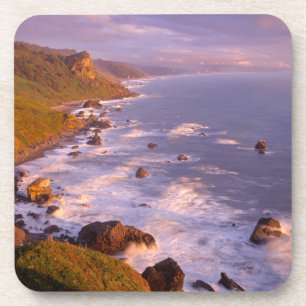 Posavasos Costa de secuoyas, California