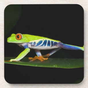 Posavasos Costa Rica, Rana De Ojos Rojos (Agalychnis