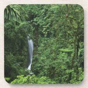 Posavasos Costa Rica, zona del volcán Arenal, puentes colgan