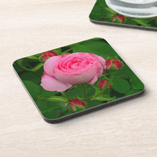 POSAVASOS COSTAS DE "ROSA ROSA ROSA" (CONJUNTO DE 6)
