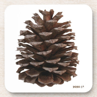 Posavasos Costeras Forestales