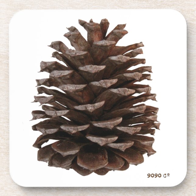 Posavasos Costeras Forestales (Frente)