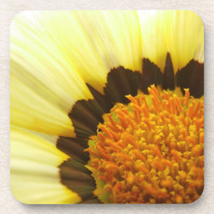 Posavasos Costras de flores amarillas