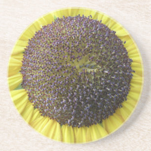 Posavasos Costras de girasol amarillo