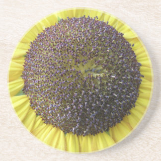 Posavasos Costras de girasol amarillo
