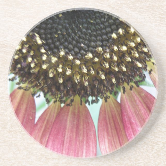 Posavasos Costras de girasol rosado (Frente)
