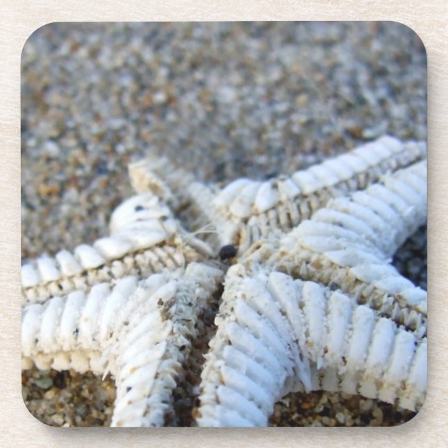 Posavasos Costras de Starfish (Frente)