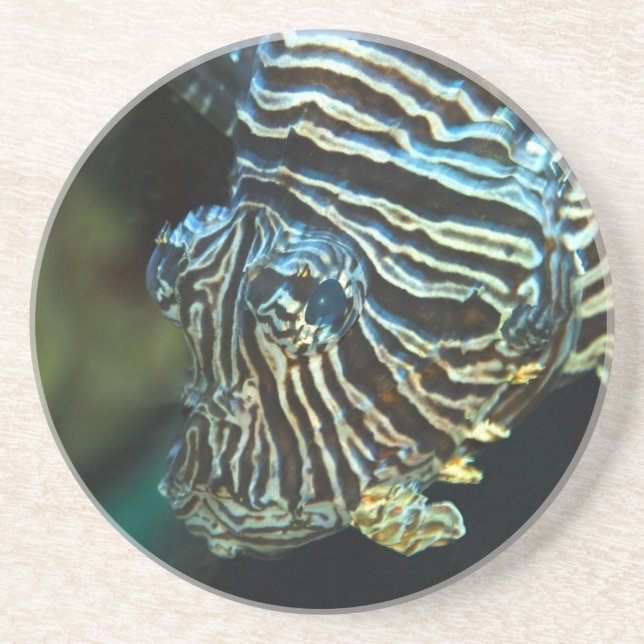 Posavasos Costura de Lionfish (Frente)