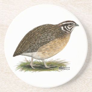 Posavasos Coturnix Pharaoh Quail