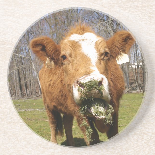 Posavasos Cow Coaster (Frente)