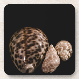 Posavasos Cowrie Cones Cork Coaster