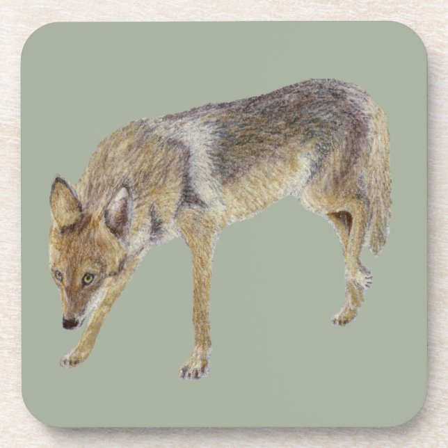Posavasos Coyote (Frente)