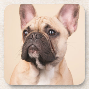 Posavasos Crea tu propia foto personalizada de tu mascota