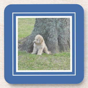 Posavasos Crea tu propia plantilla de foto azul y blanca