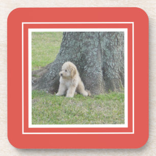 Posavasos Crea tu propia plantilla de foto Coral y Blanco