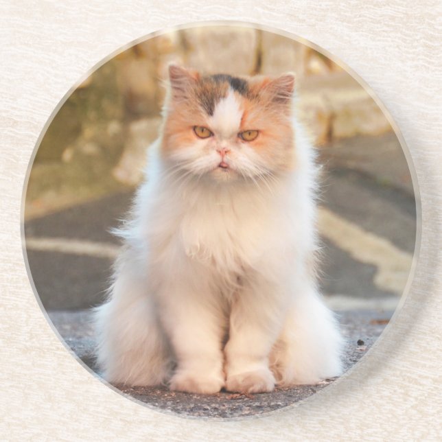 Posavasos Crear su propia foto personalizada de gato Mascota (Frente)