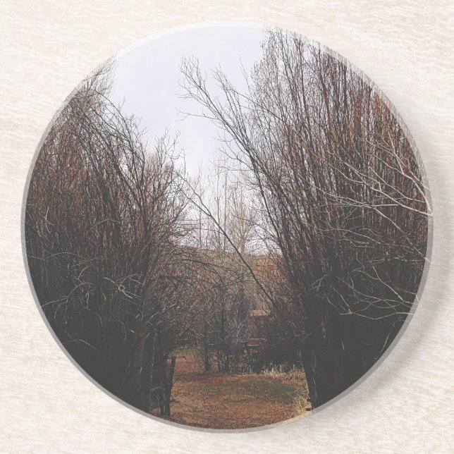 Posavasos Crecimiento excesivo de la Bannack (Frente)