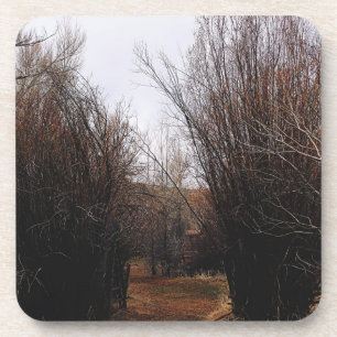 Posavasos Crecimiento excesivo de la Bannack