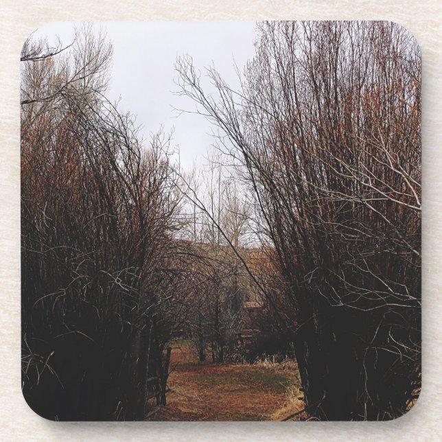 Posavasos Crecimiento excesivo de la Bannack (Frente)