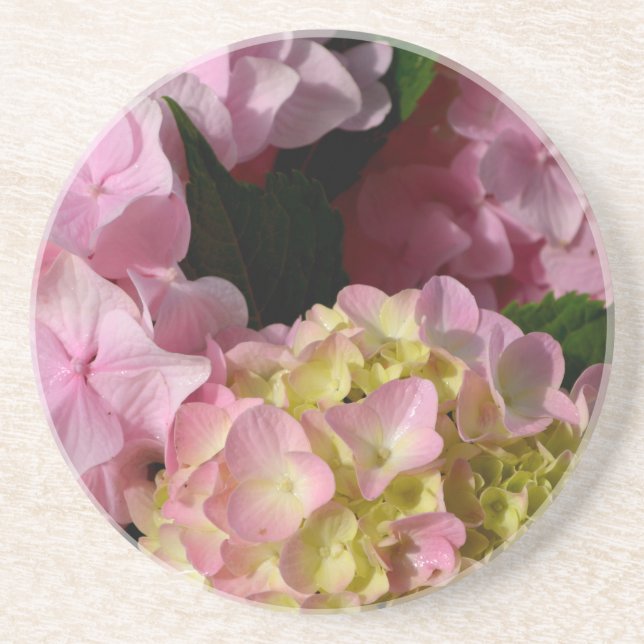 Posavasos Crema rosa Hydrangeas amarillo rosa verde floral (Frente)
