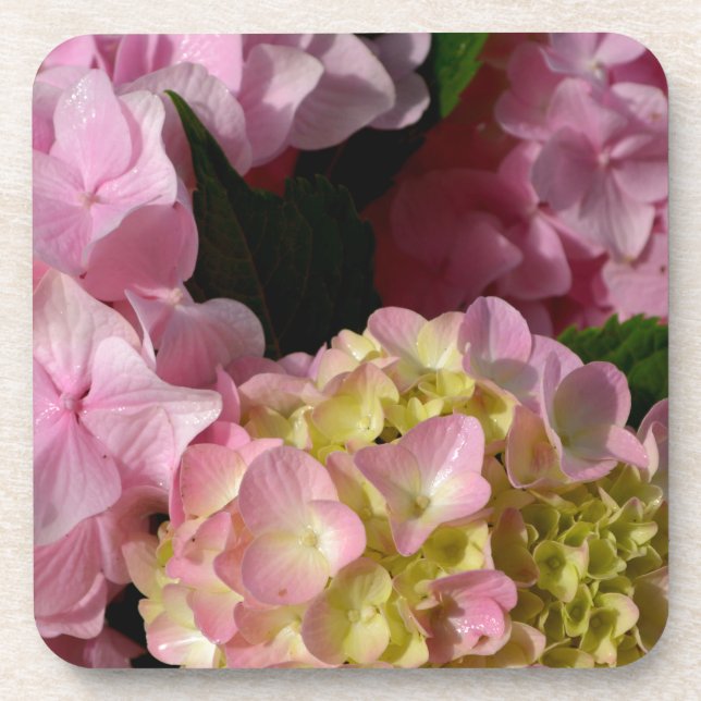 Posavasos Crema rosa Hydrangeas amarillo rosa verde floral (Frente)