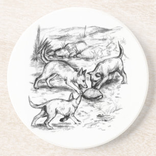 Posavasos Crías de Coyote