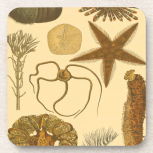 Posavasos Criaturas submarinas