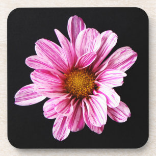 Posavasos Crisantemo Coastercna flor