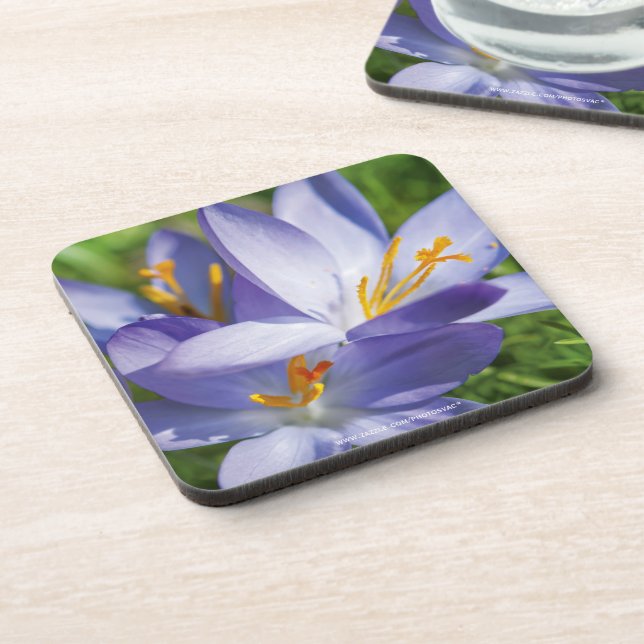 Posavasos Crocus (Lado Izquierdo)