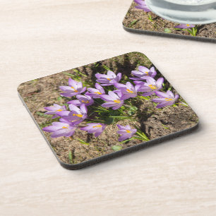 Posavasos Cruces elásticos