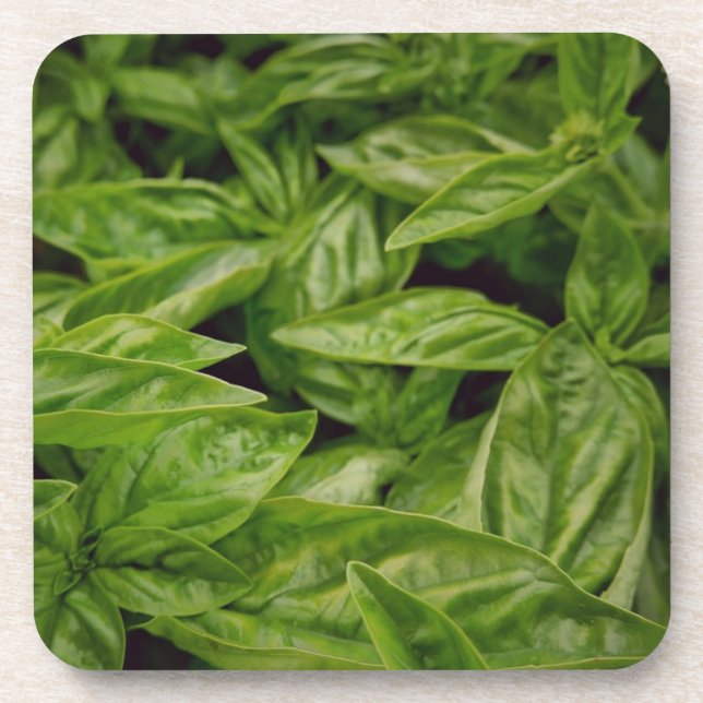 Posavasos Cuaderno de Albahaca (Frente)