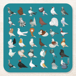 Posavasos Cuadrado De Papel 36 razas de la paloma