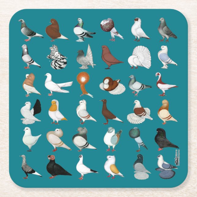 Posavasos Cuadrado De Papel 36 razas de la paloma (Anverso)