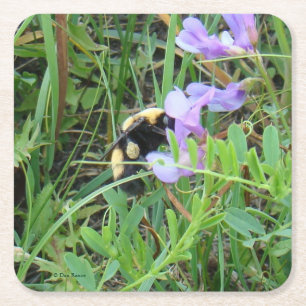 Posavasos Cuadrado De Papel Abeja F2 en Flor Silvestre Morada