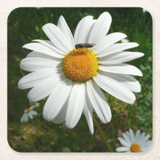 Posavasos Cuadrado De Papel Abeja por la foto natural de Daisy Alaskan
