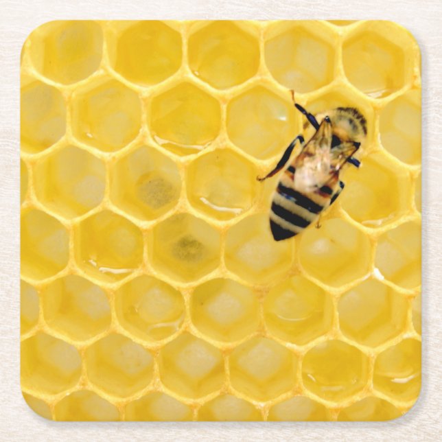 Posavasos Cuadrado De Papel abeja y abeja (Anverso)