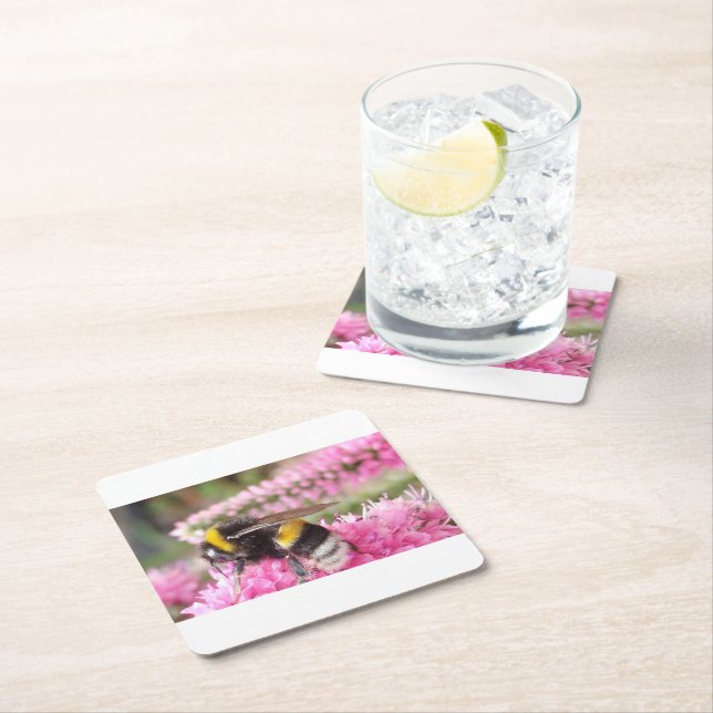 Posavasos Cuadrado De Papel Abejorro en Coaster de Flores Rosadas (In situ)