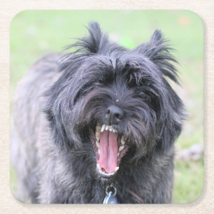 Posavasos Cuadrado De Papel Achoo