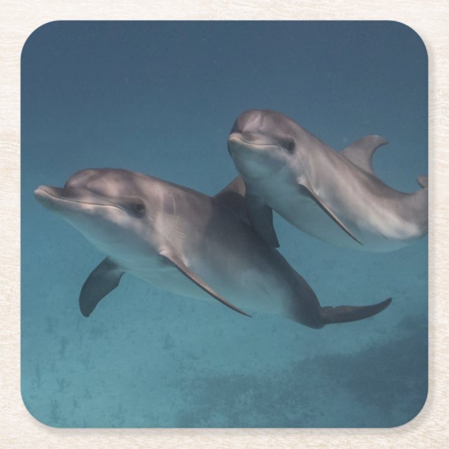 Posavasos Cuadrado De Papel Actitud juguetona (Anverso)