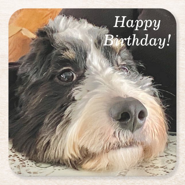 Posavasos Cuadrado De Papel Adorable Bernedoodle (Anverso)