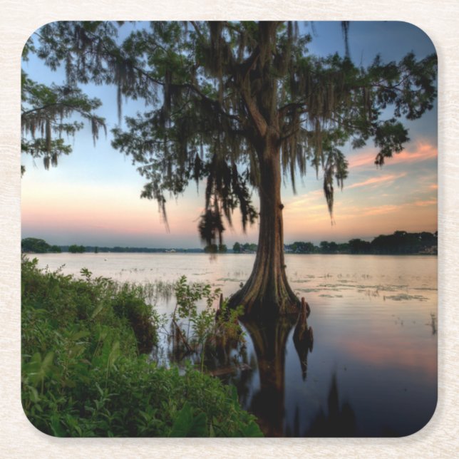 Posavasos Cuadrado De Papel Agua | Kraft Azalea Park Maitland Florida (Anverso)